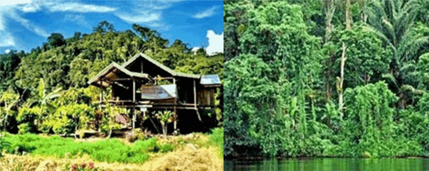 Mengunjungi Taman Lore  Lindu  Palu Sulawesi Tengah Sambil 